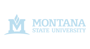 Montana State University